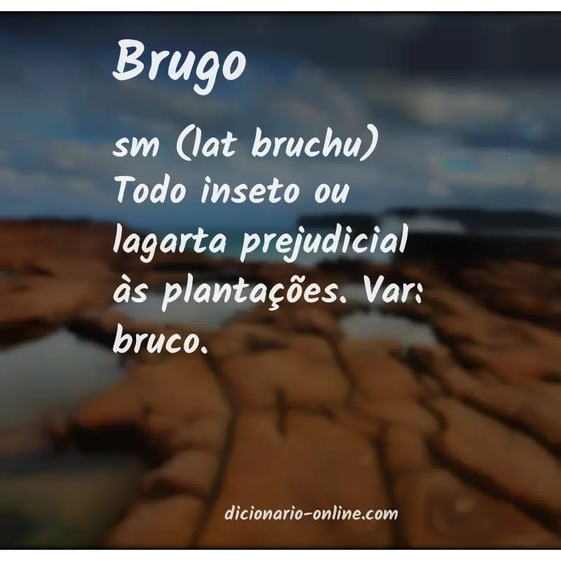 Significado de brugo