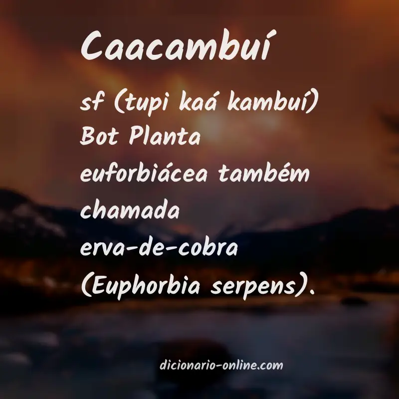 Significado de caacambuí