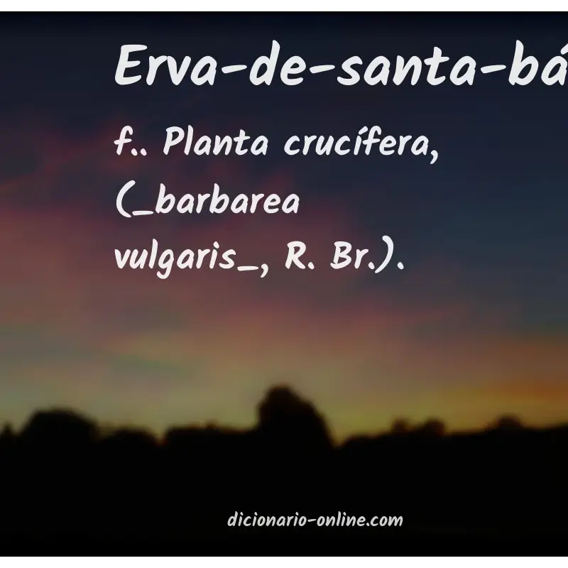 Significado de erva-de-santa-bárbara