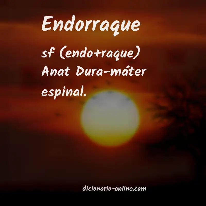 Significado de endorraque