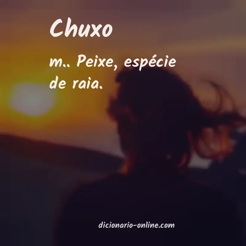 Significado de chuxo