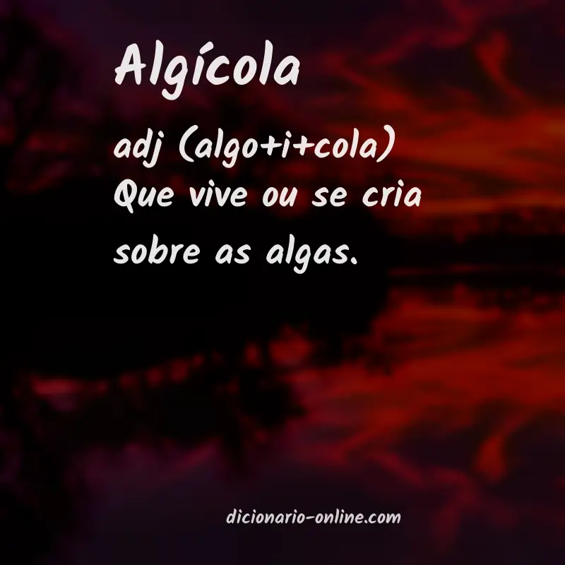 Significado de algícola