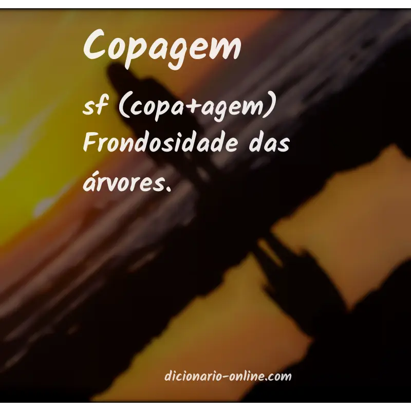 Significado de copagem