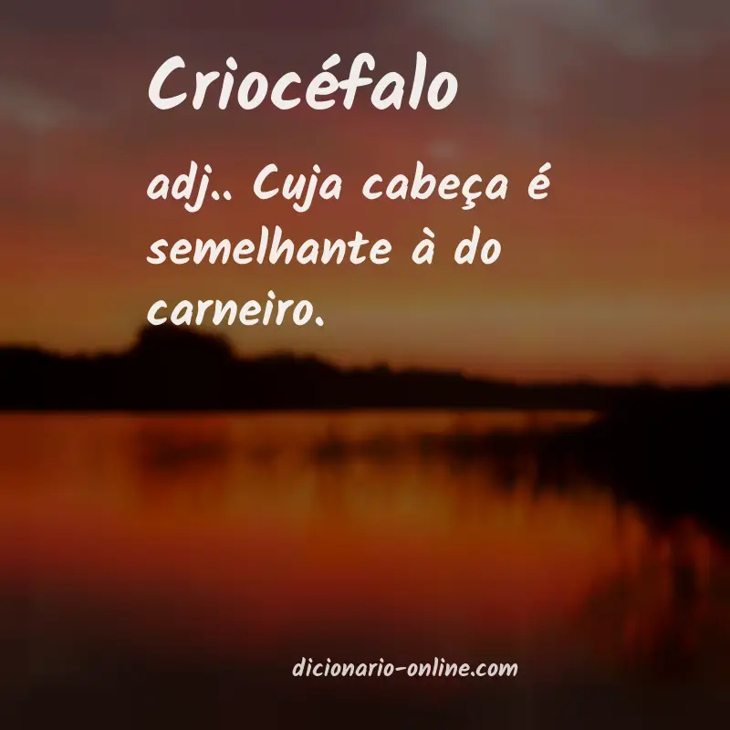 Significado de criocéfalo