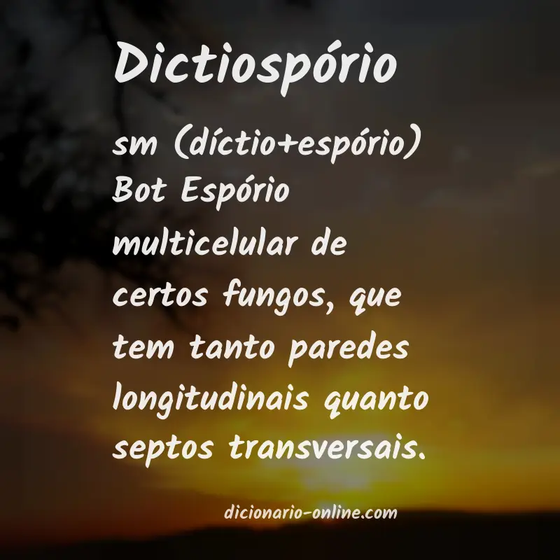 Significado de dictiospório