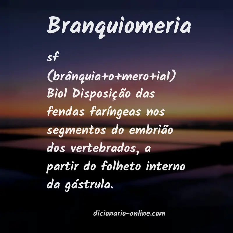 Significado de branquiomeria