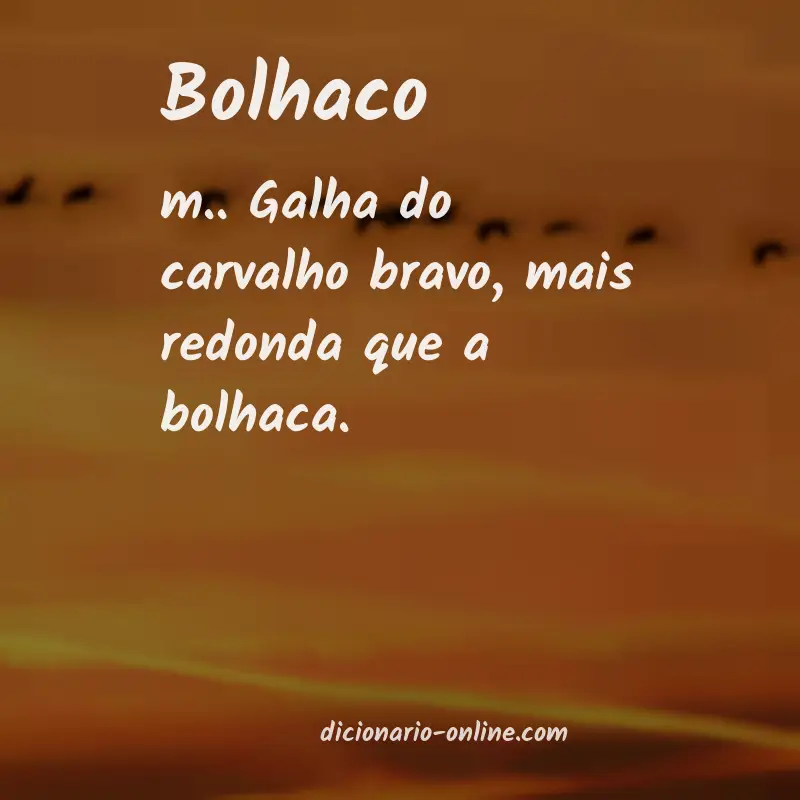 Significado de bolhaco