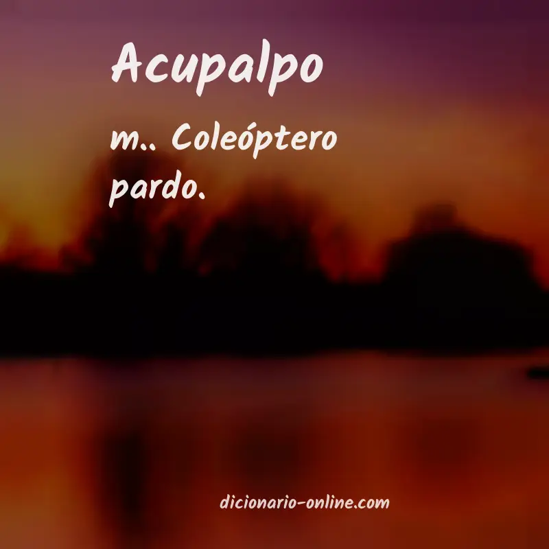 Significado de acupalpo