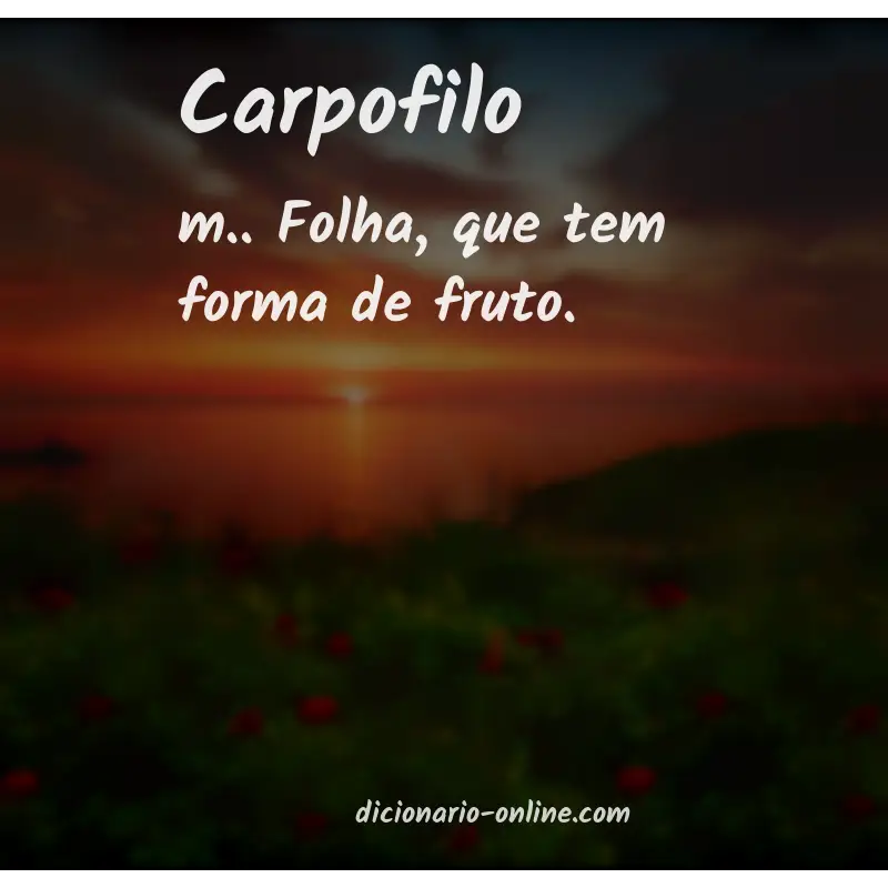 Significado de carpofilo