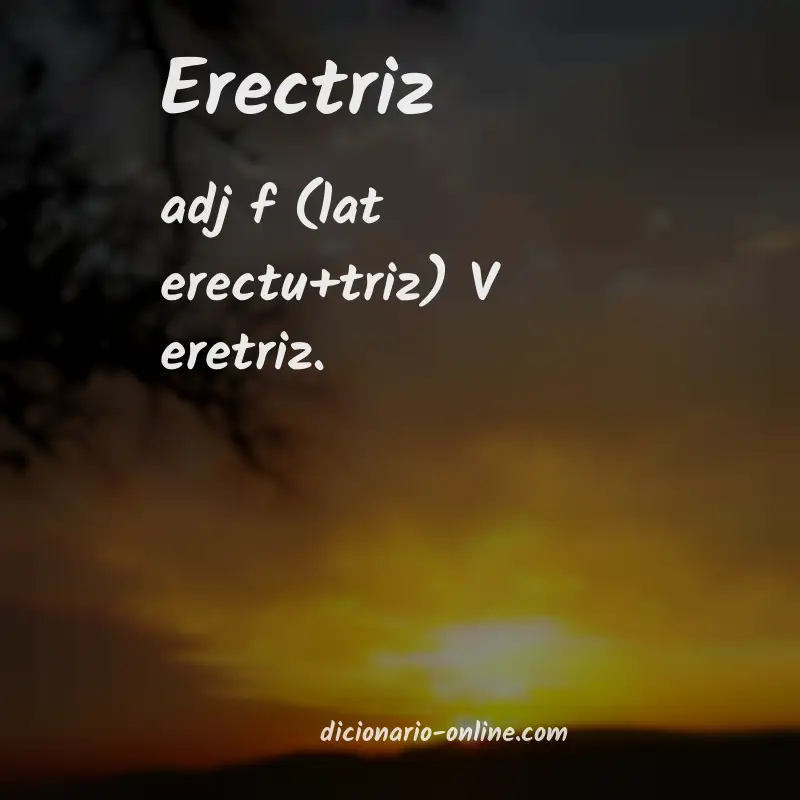 Significado de erectriz