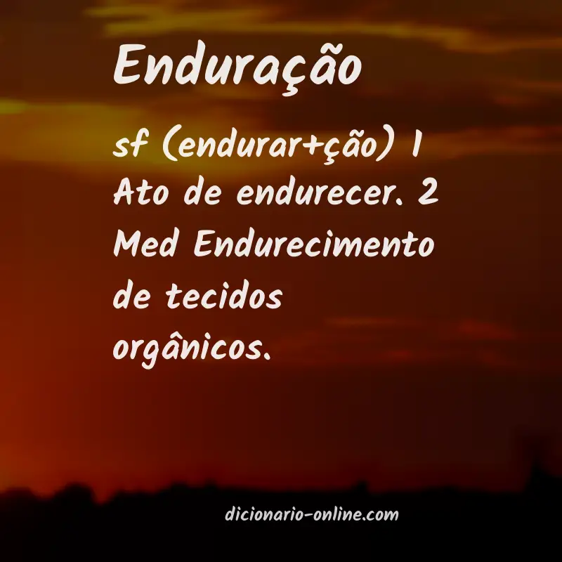 Significado de enduração