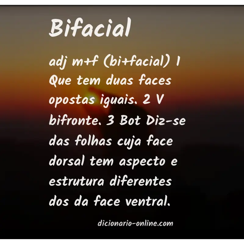 Significado de bifacial