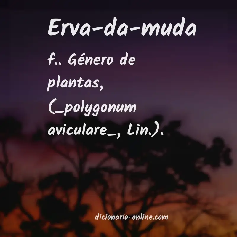 Significado de erva-da-muda
