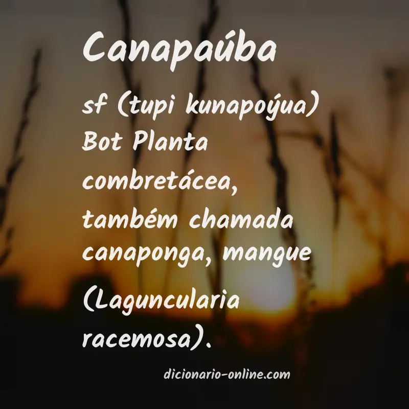 Significado de canapaúba