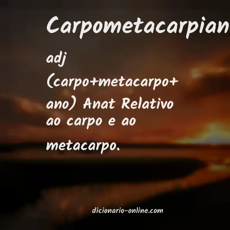 Significado de carpometacarpiano