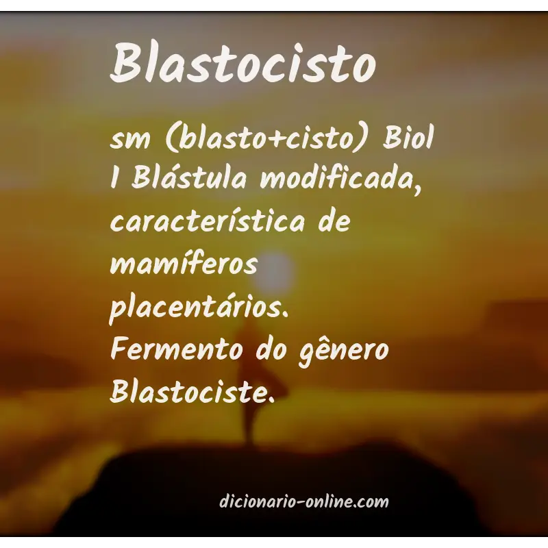 Significado de blastocisto
