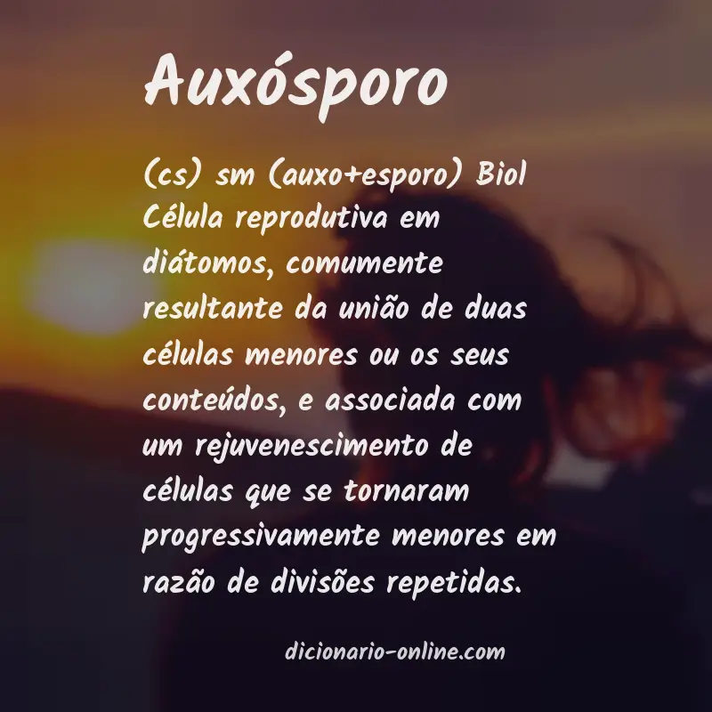Significado de auxósporo