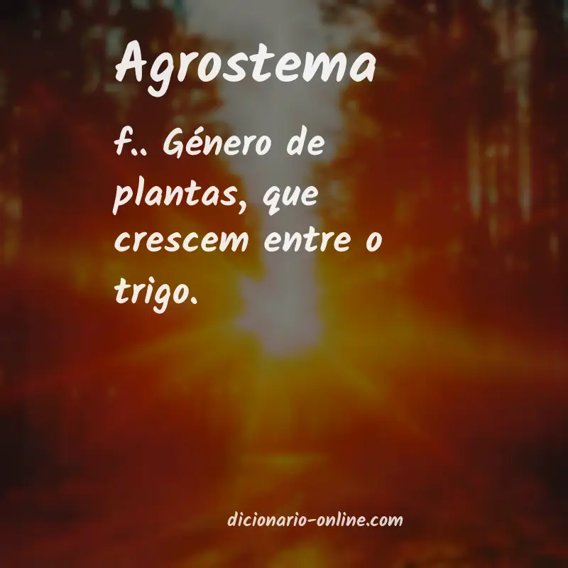 Significado de agrostema