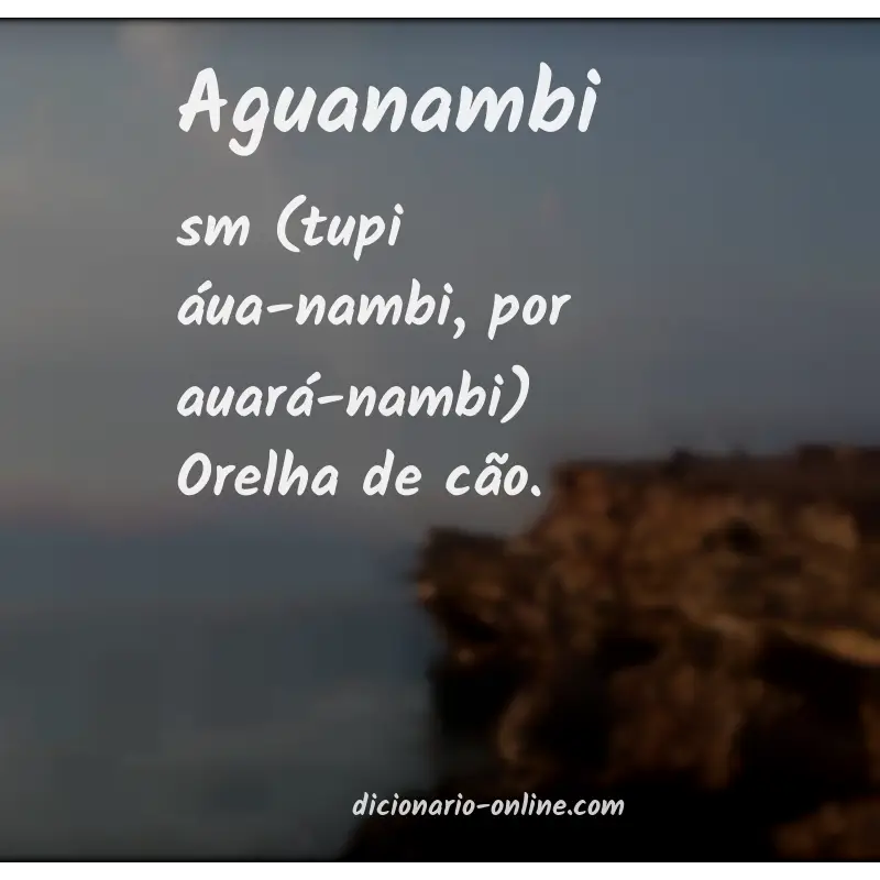 Significado de aguanambi