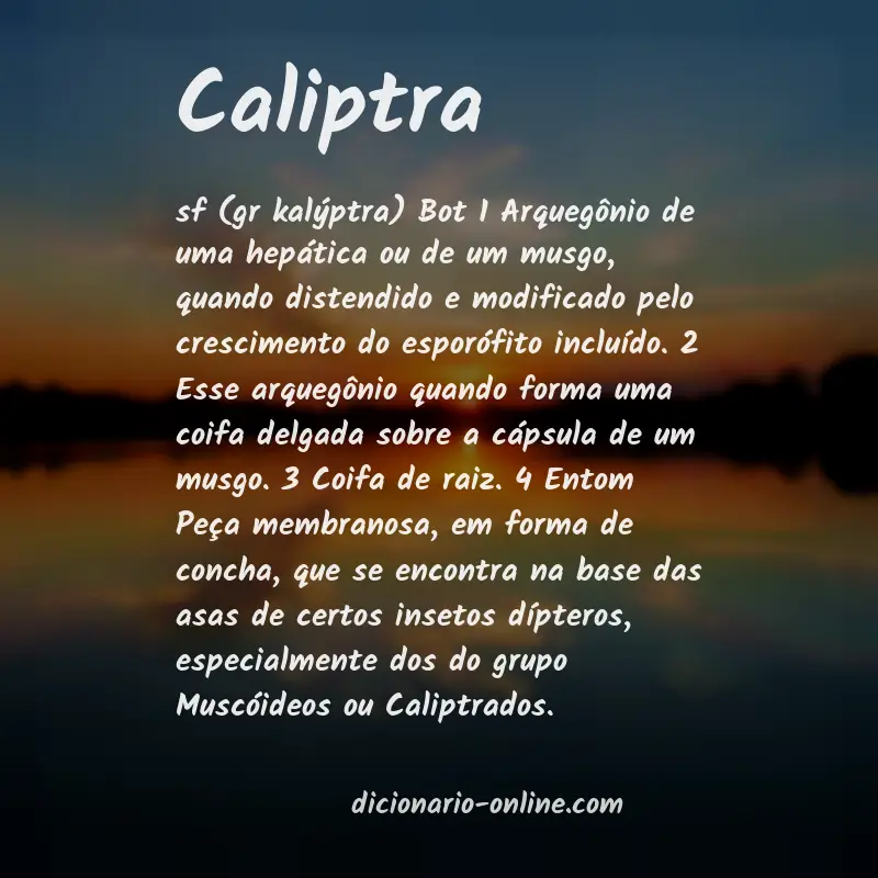 Significado de caliptra