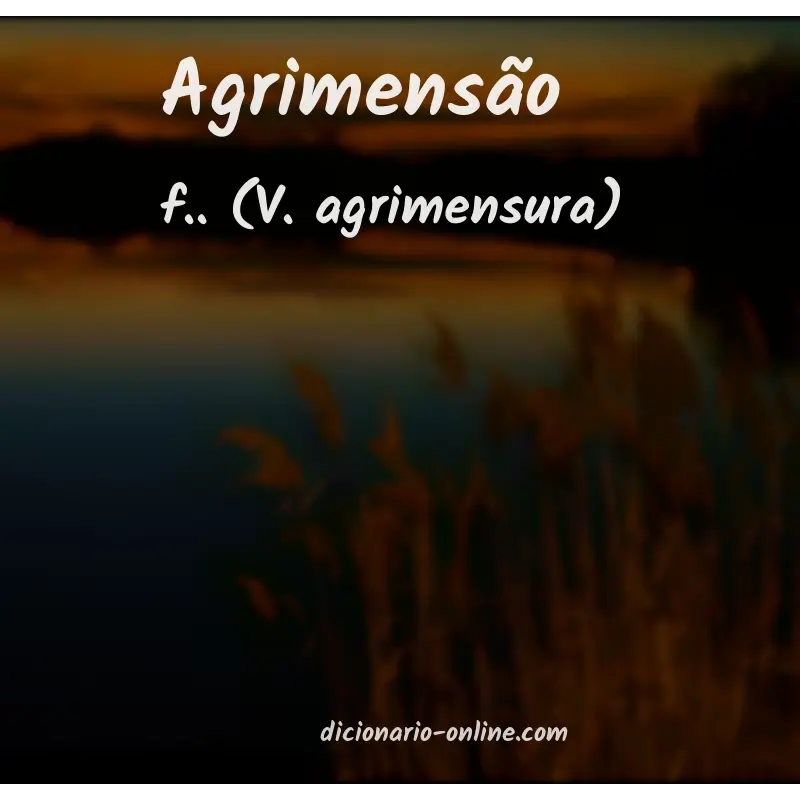 Significado de agrimensão