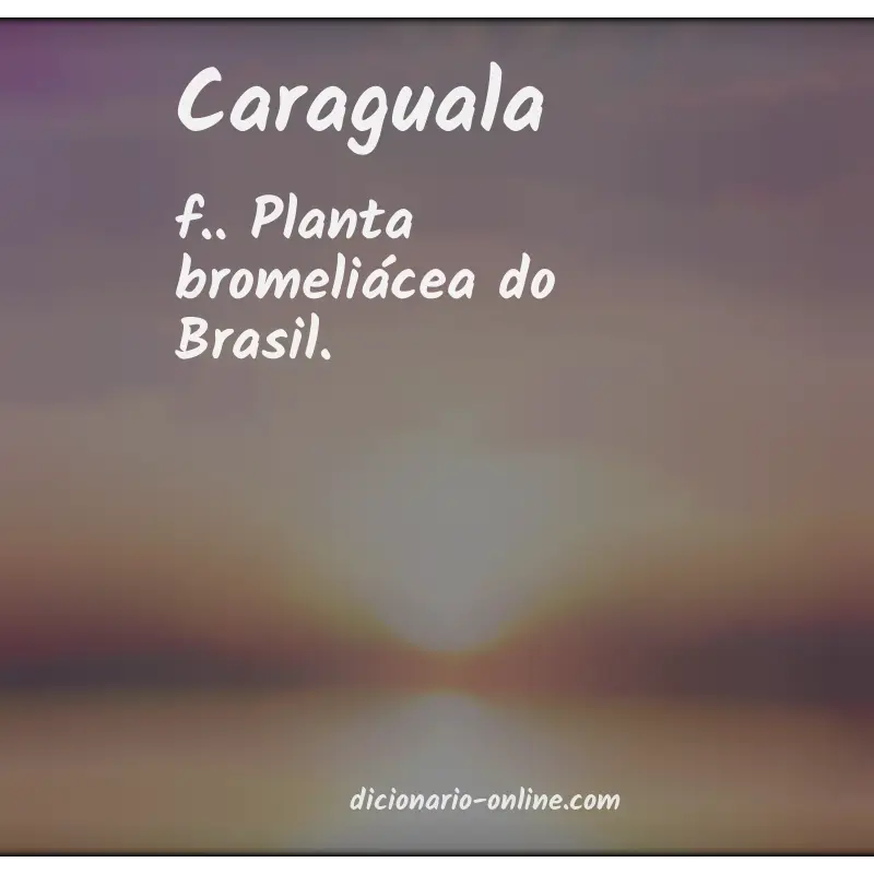 Significado de caraguala