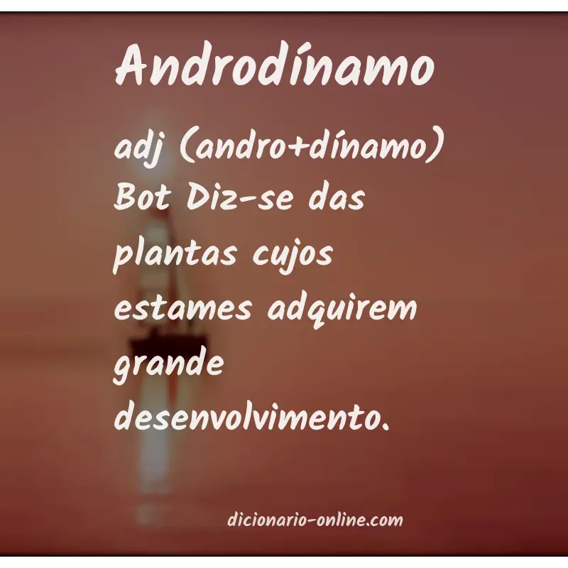 Significado de androdínamo