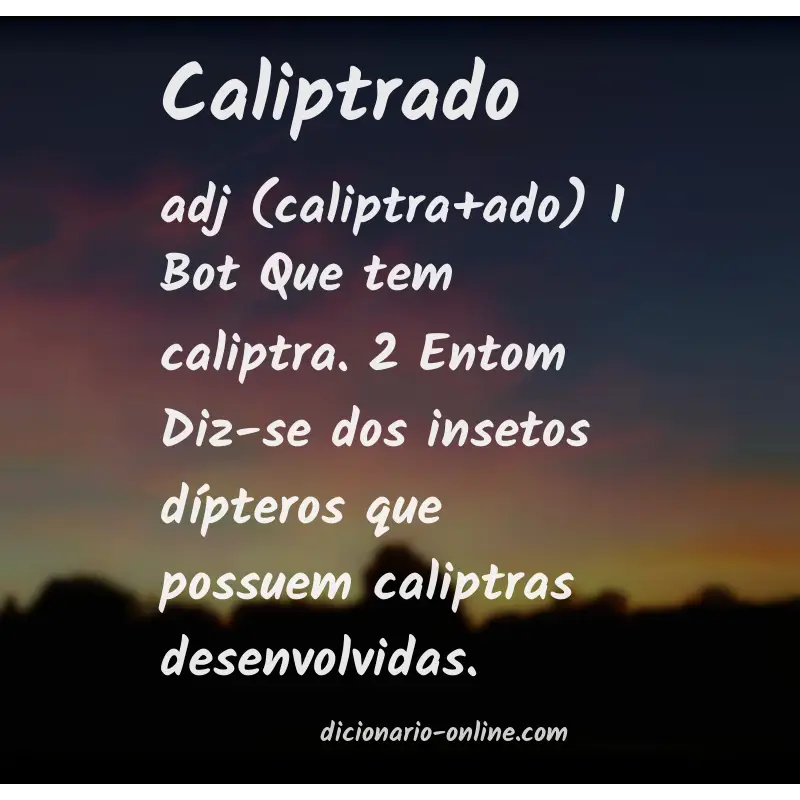 Significado de caliptrado