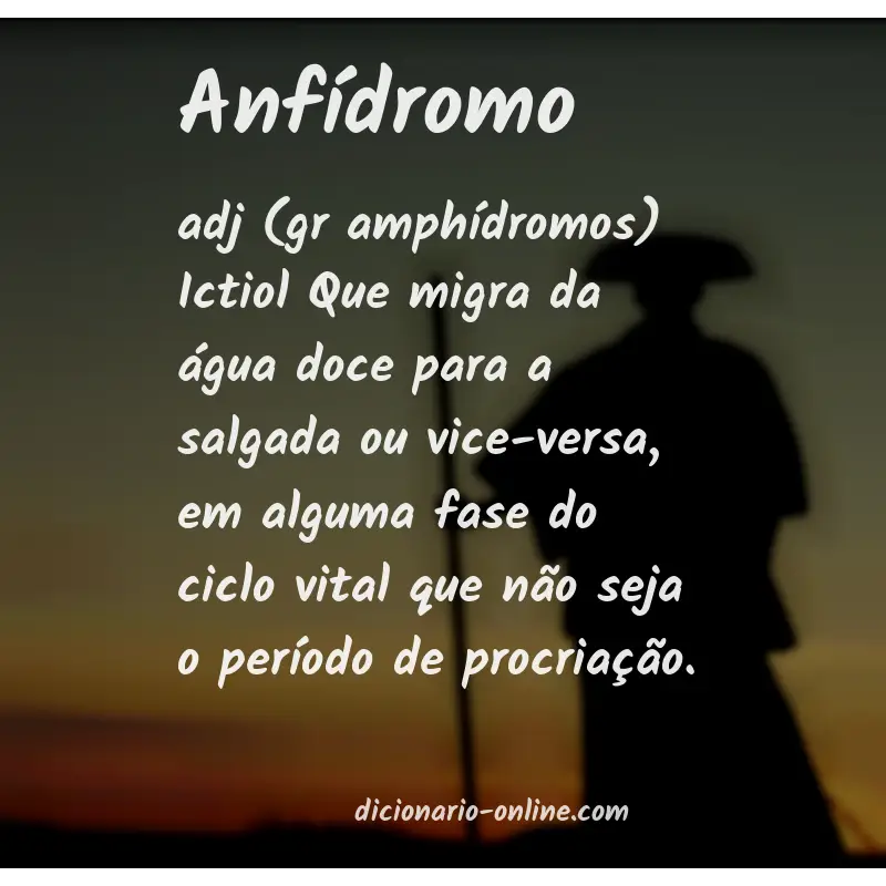 Significado de anfídromo