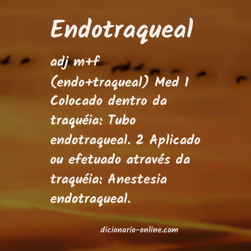 Significado de endotraqueal