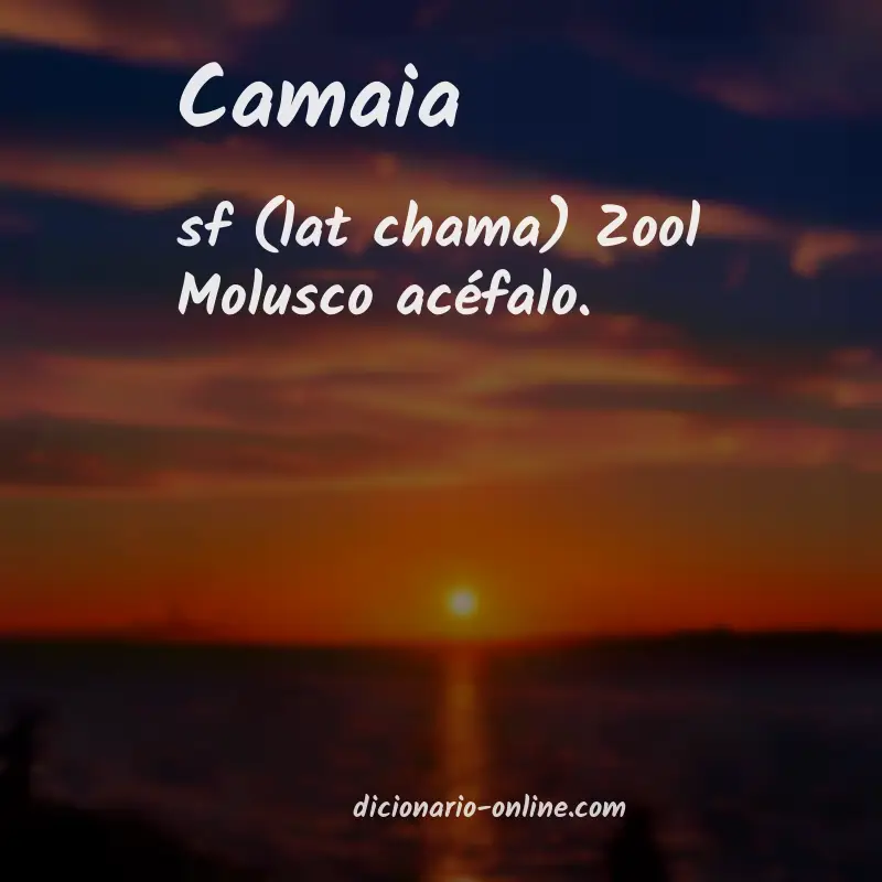 Significado de camaia