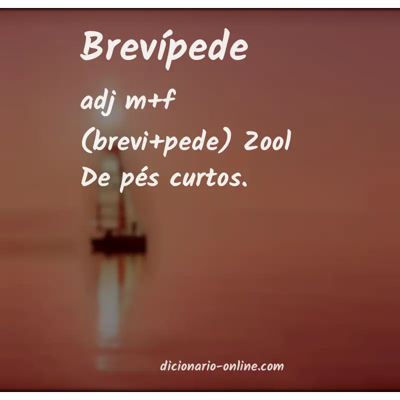 Significado de brevípede