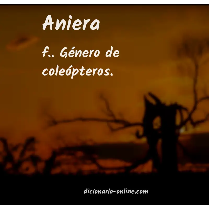 Significado de aniera