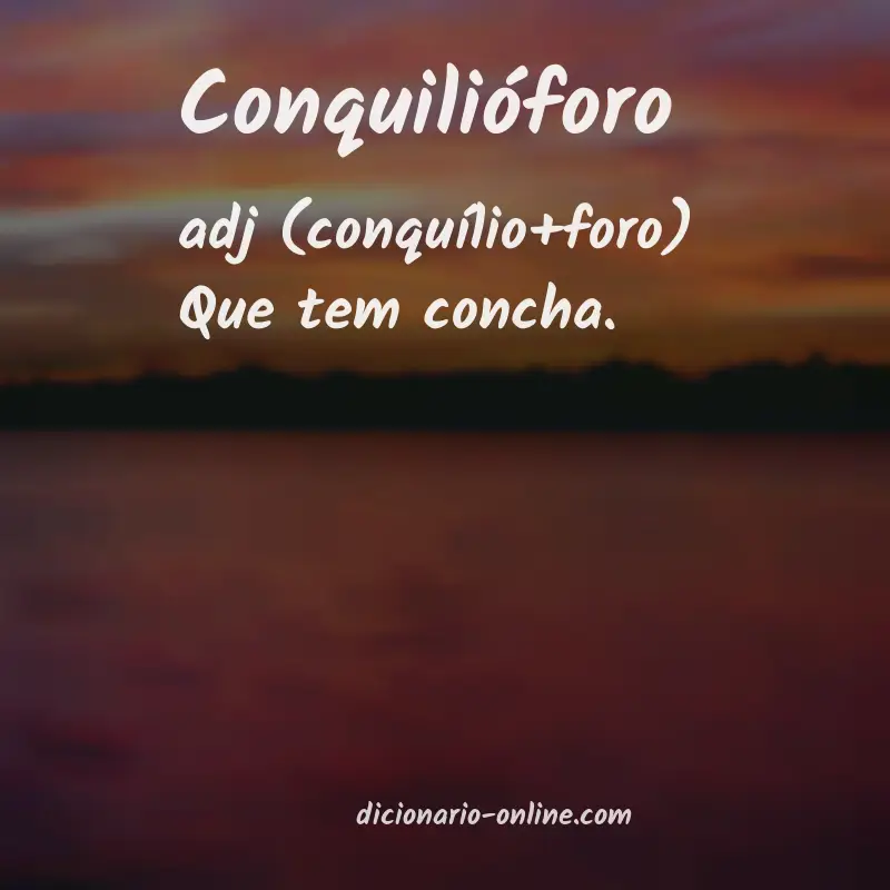 Significado de conquilióforo