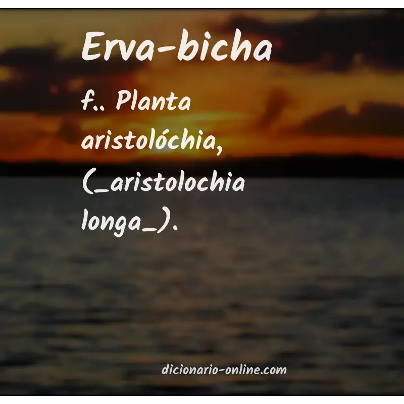 Significado de erva-bicha