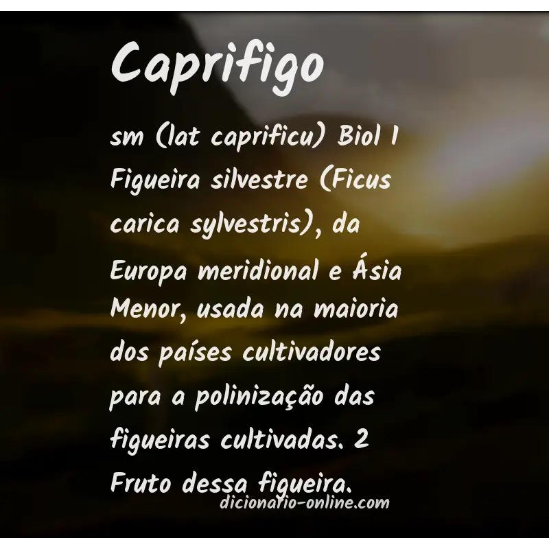 Significado de caprifigo