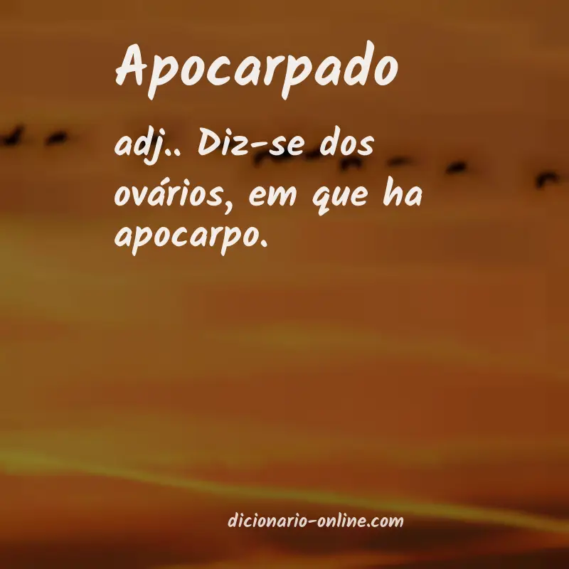 Significado de apocarpado