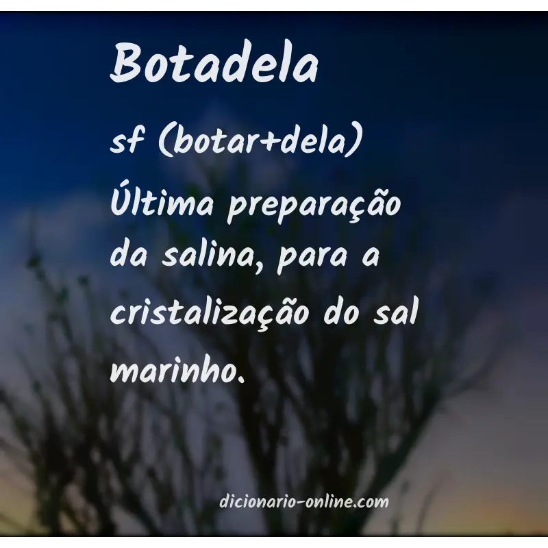 Significado de botadela