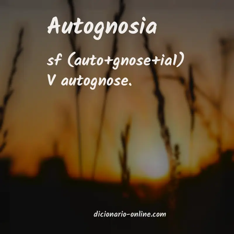 Significado de autognosia