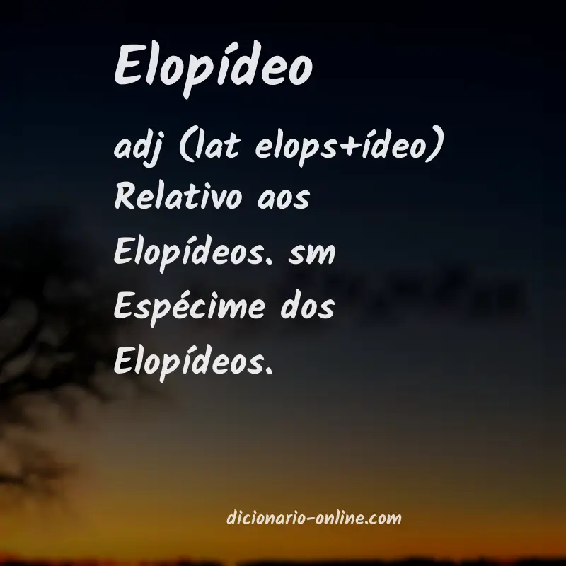 Significado de elopídeo