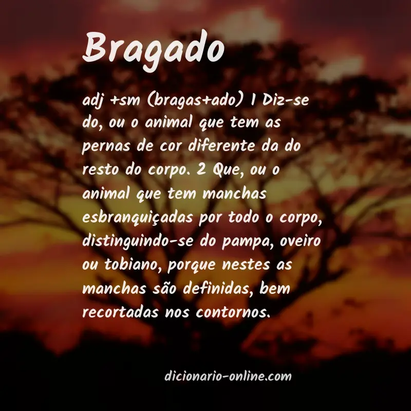Significado de bragado