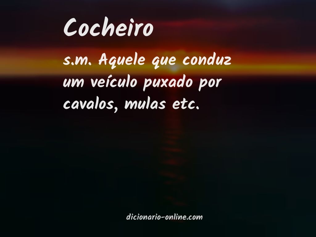 Significado de cocheiro