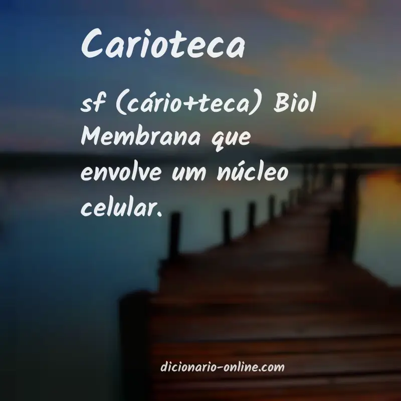 Significado de carioteca
