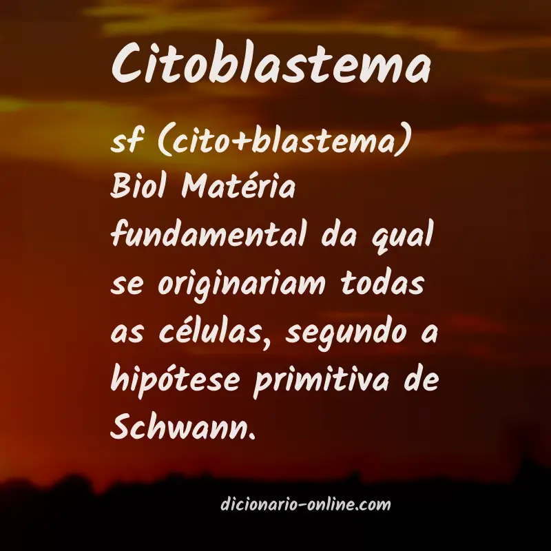 Significado de citoblastema