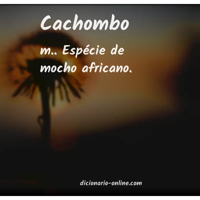 Significado de cachombo