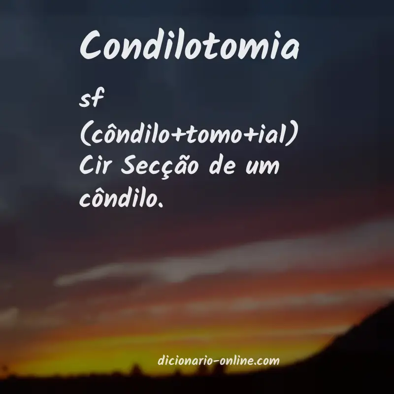 Significado de condilotomia
