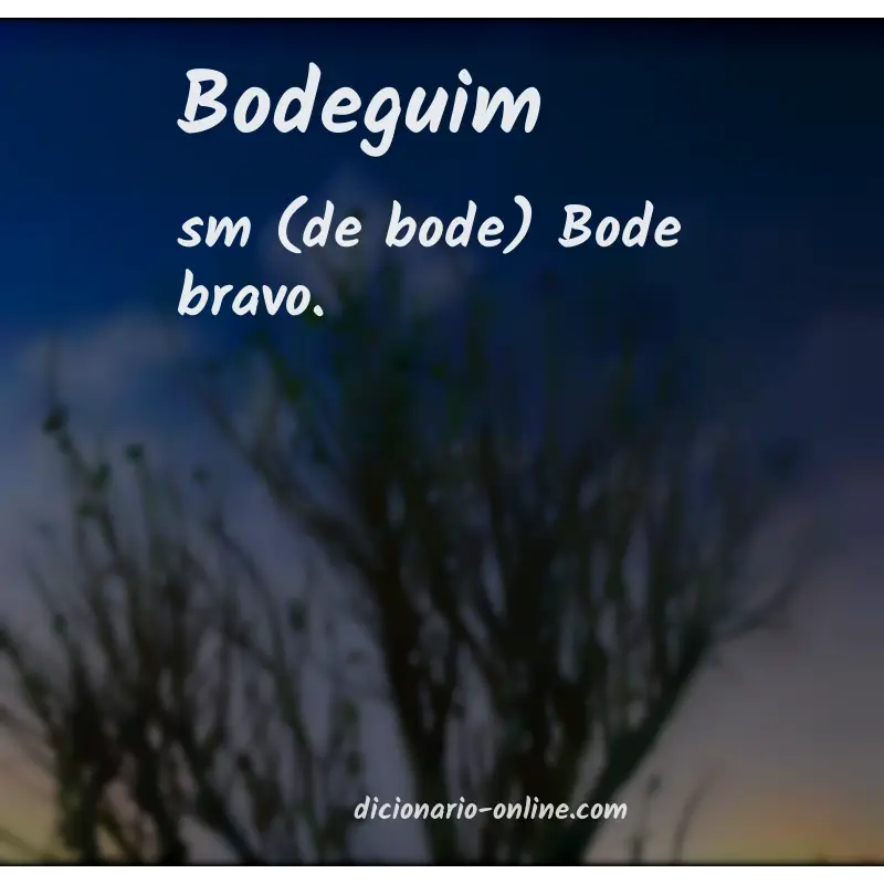 Significado de bodeguim