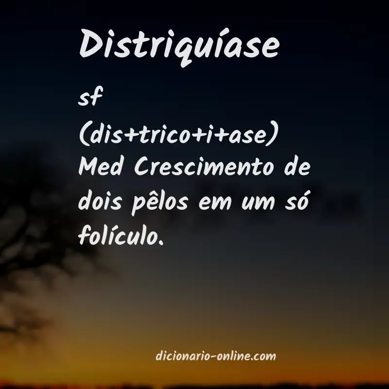 Significado de distriquíase