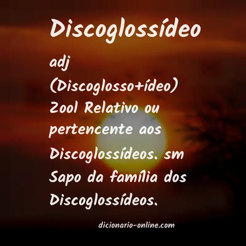 Significado de discoglossídeo