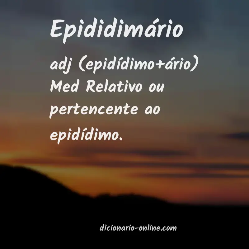 Significado de epididimário